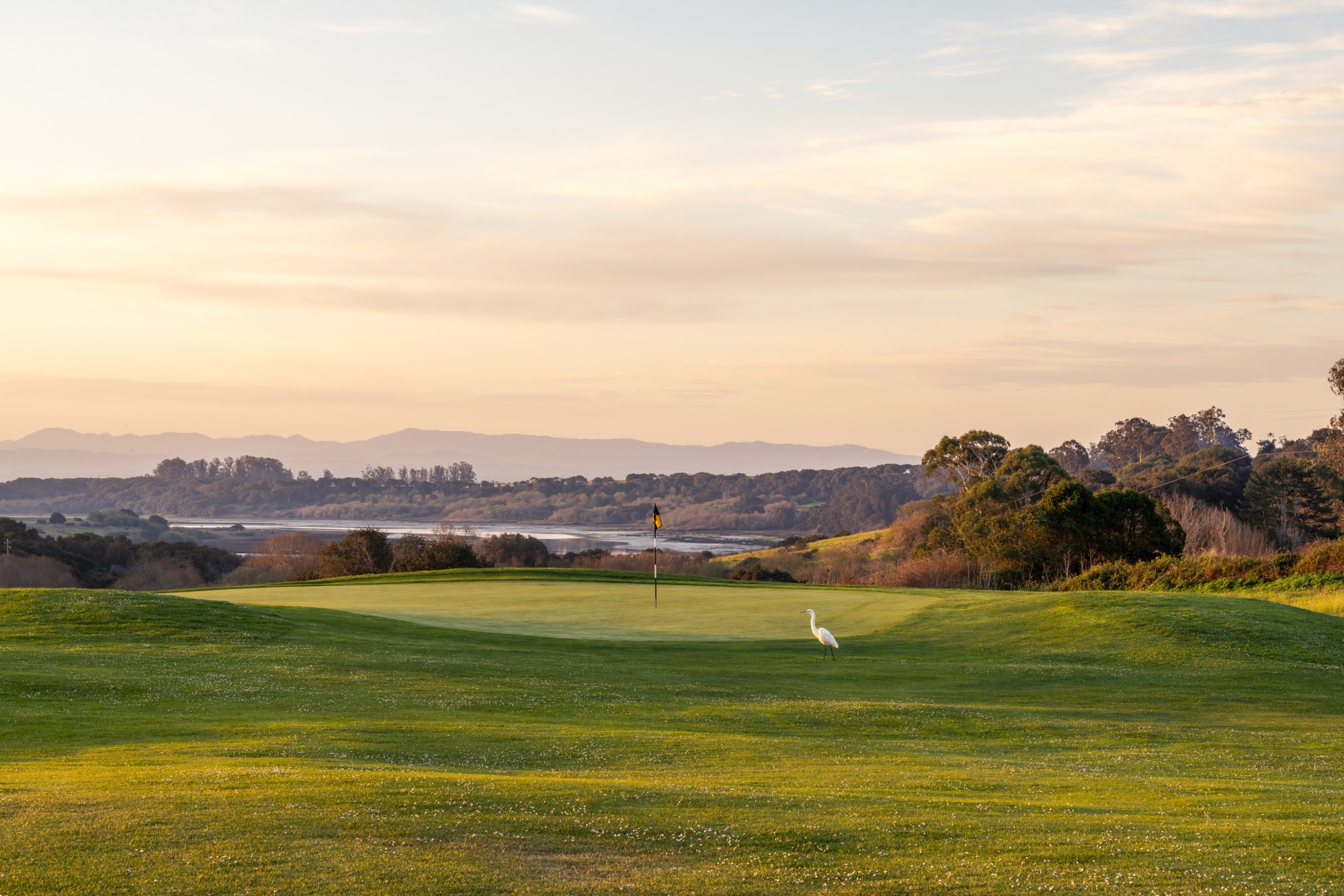 The sixteenth at Pajaro Valley Golf Club, the bay channel beyond the green